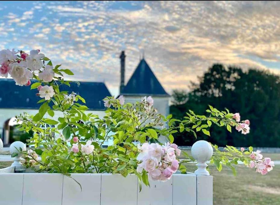 Charming Romantic Tower In Chateau Estate Ocquerre Экстерьер фото